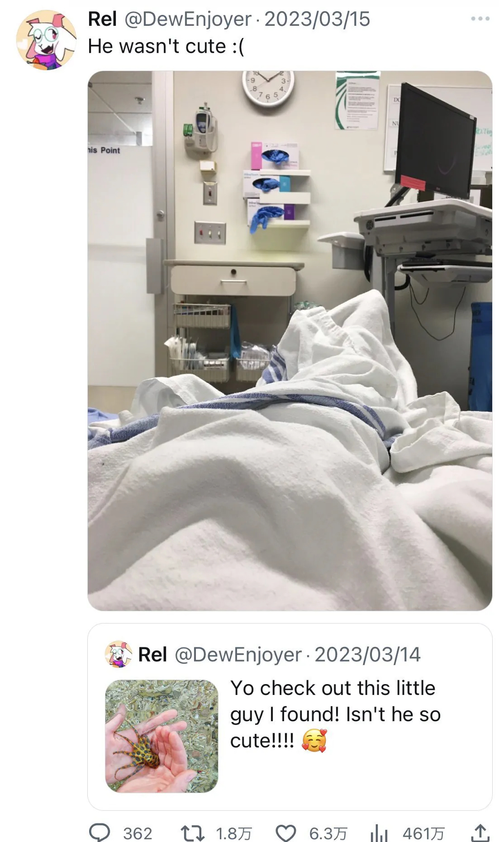 바다에서-귀여운-생물을-줍게된-사람.jpg-1-이미지