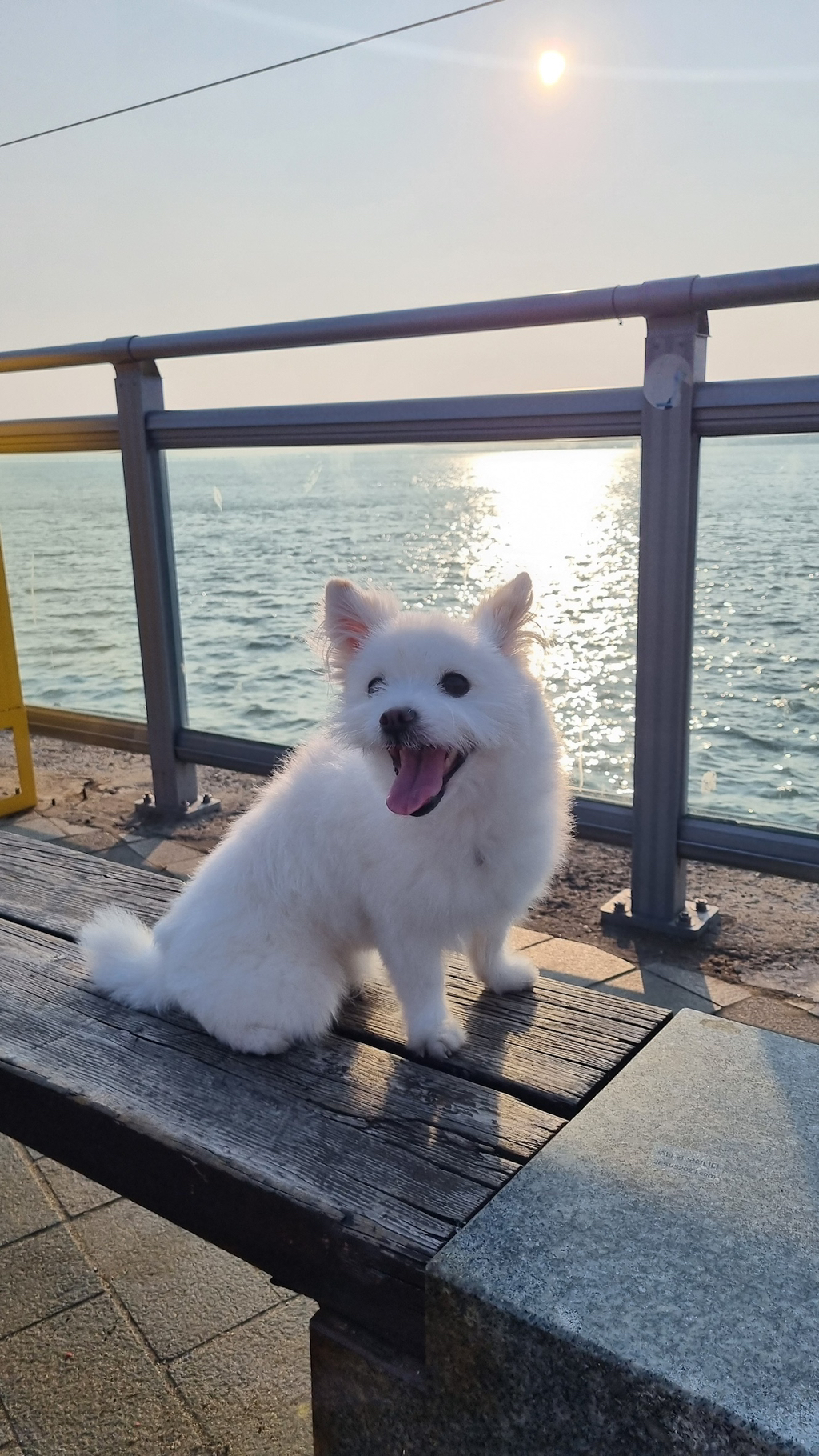 주댕이-털-면도했는데-이거-어캄?!!!-22-이미지