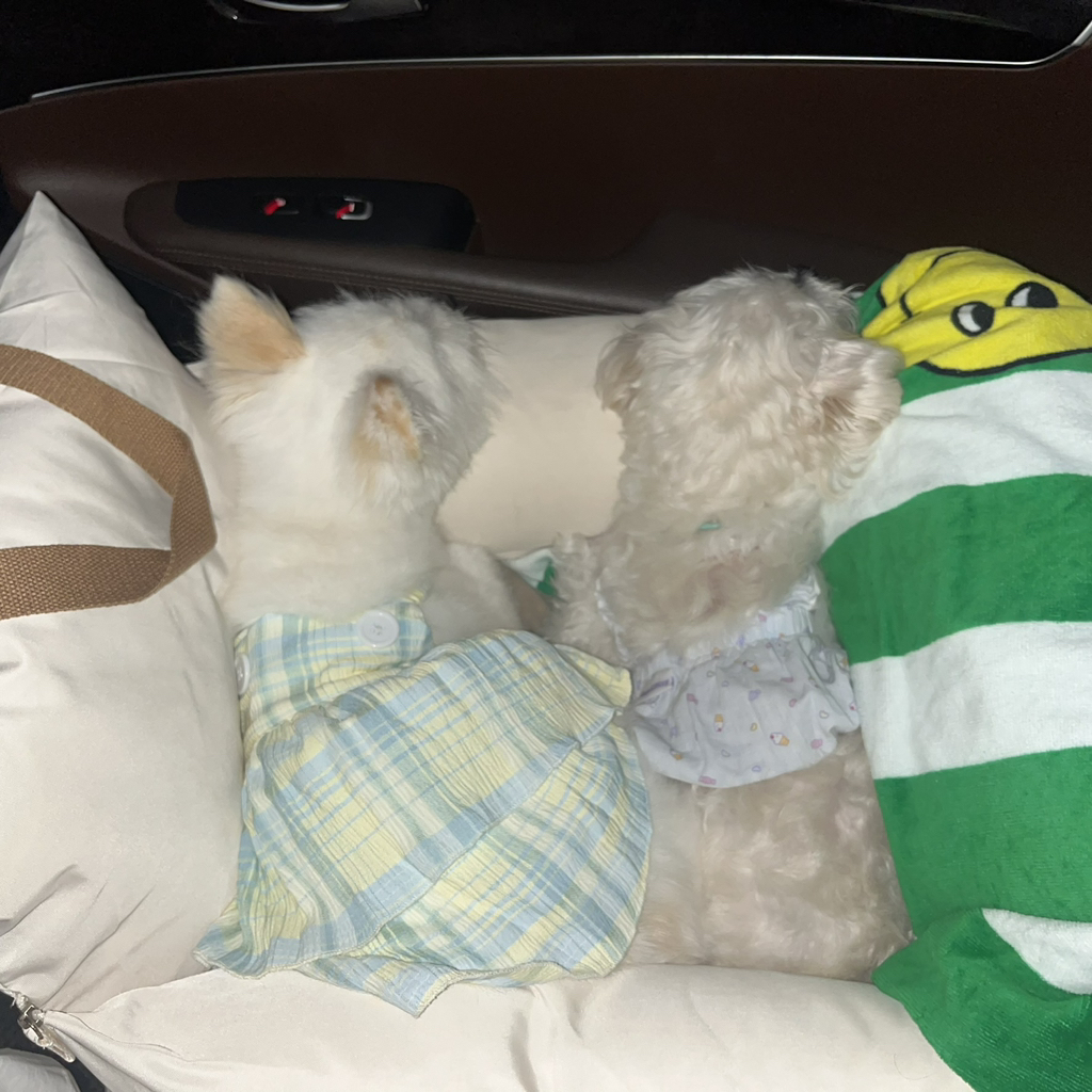 주댕이-털-면도했는데-이거-어캄?!!!-33-이미지