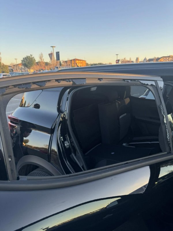 이탈리아에서-다-털린-사람-1-이미지