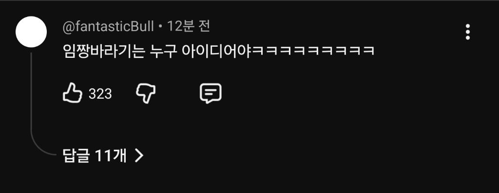 유튜브-게시글-올라온-임짱tv(aka-임성근,-아재맹수,-사짜)-1-이미지