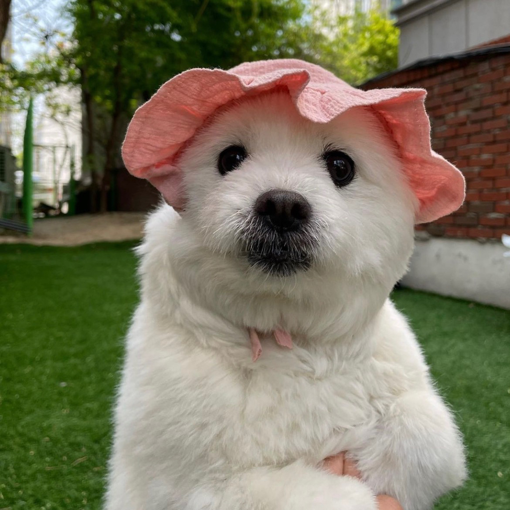 주댕이-털-면도했는데-이거-어캄?!!!-50-이미지