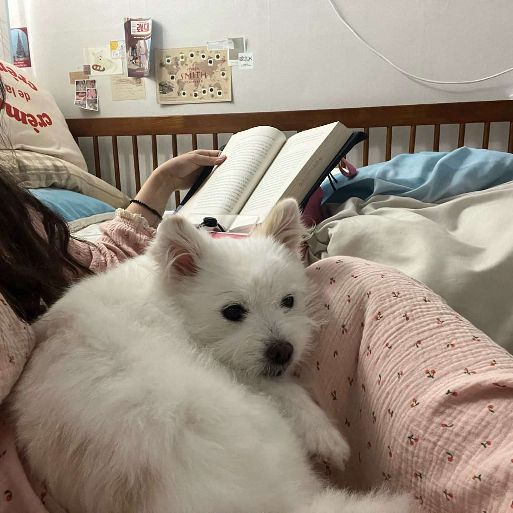 주댕이-털-면도했는데-이거-어캄?!!!-26-이미지