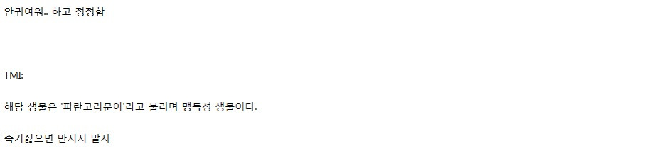 바다에서-귀여운-생물을-줍게된-사람.jpg-2-이미지