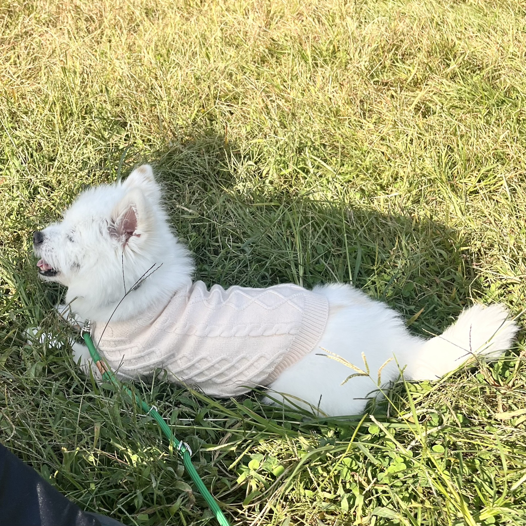 주댕이-털-면도했는데-이거-어캄?!!!-11-이미지