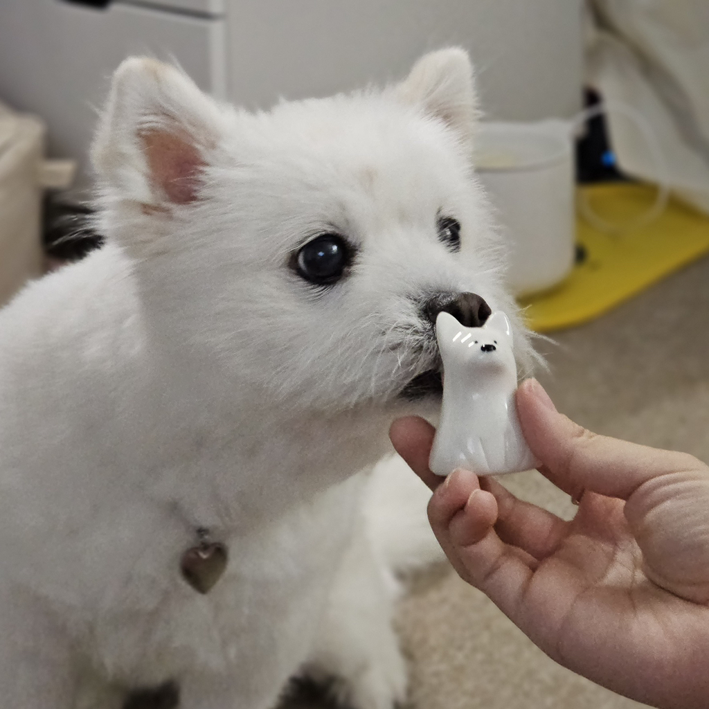 주댕이-털-면도했는데-이거-어캄?!!!-7-이미지