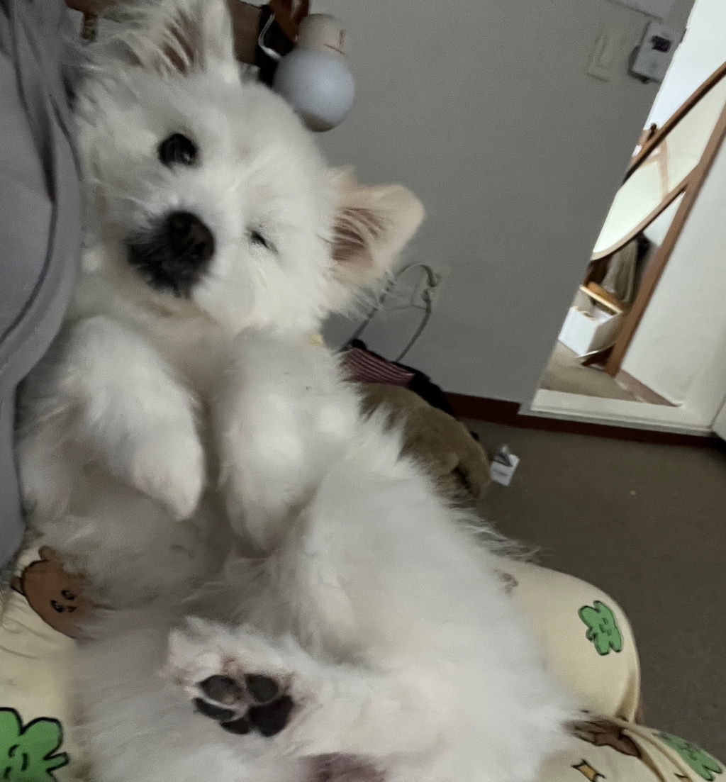 주댕이-털-면도했는데-이거-어캄?!!!-19-이미지