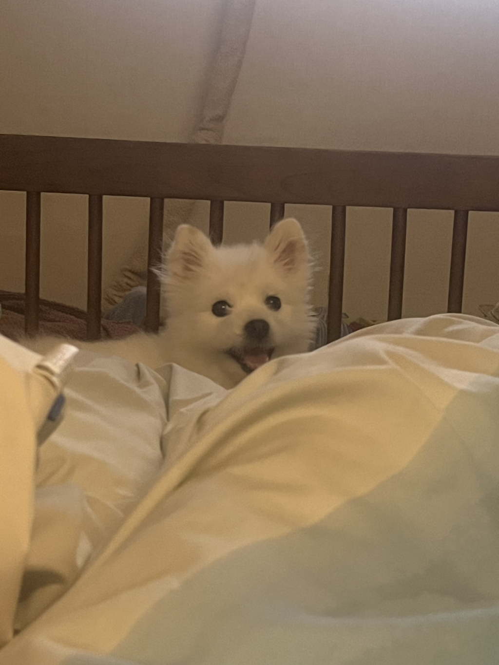 주댕이-털-면도했는데-이거-어캄?!!!-12-이미지