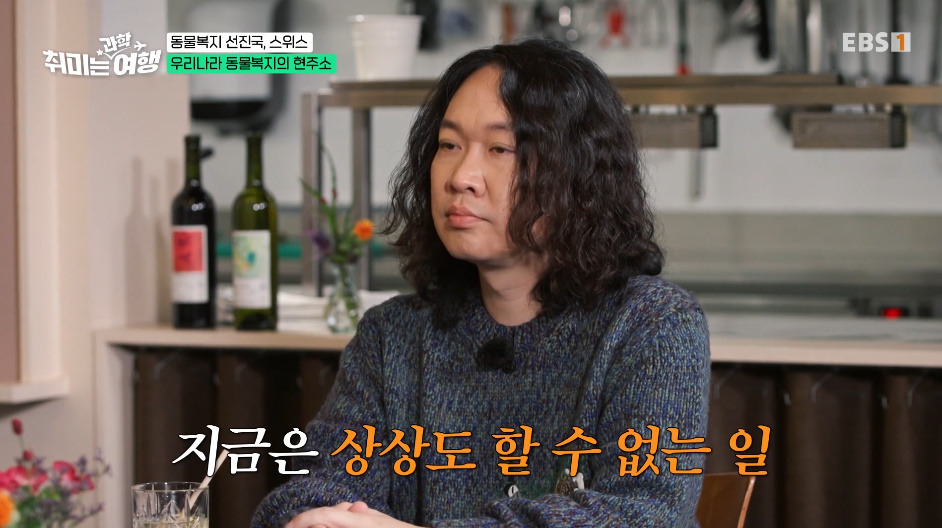 동물-키울거면-무조건-2마리-이상-키워야-한다는-나라.jpg-16-이미지