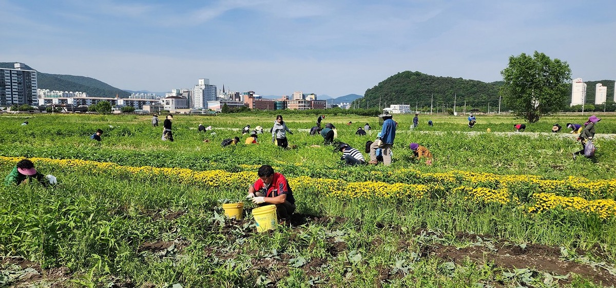 좋은-일을-해서-축복-받은-듯한-도시.jpg-25-이미지
