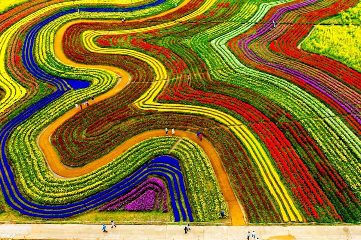 좋은-일을-해서-축복-받은-듯한-도시.jpg-21-이미지