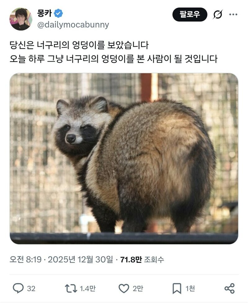 당신은-너구리의-엉덩이를-보았습미다-0-이미지