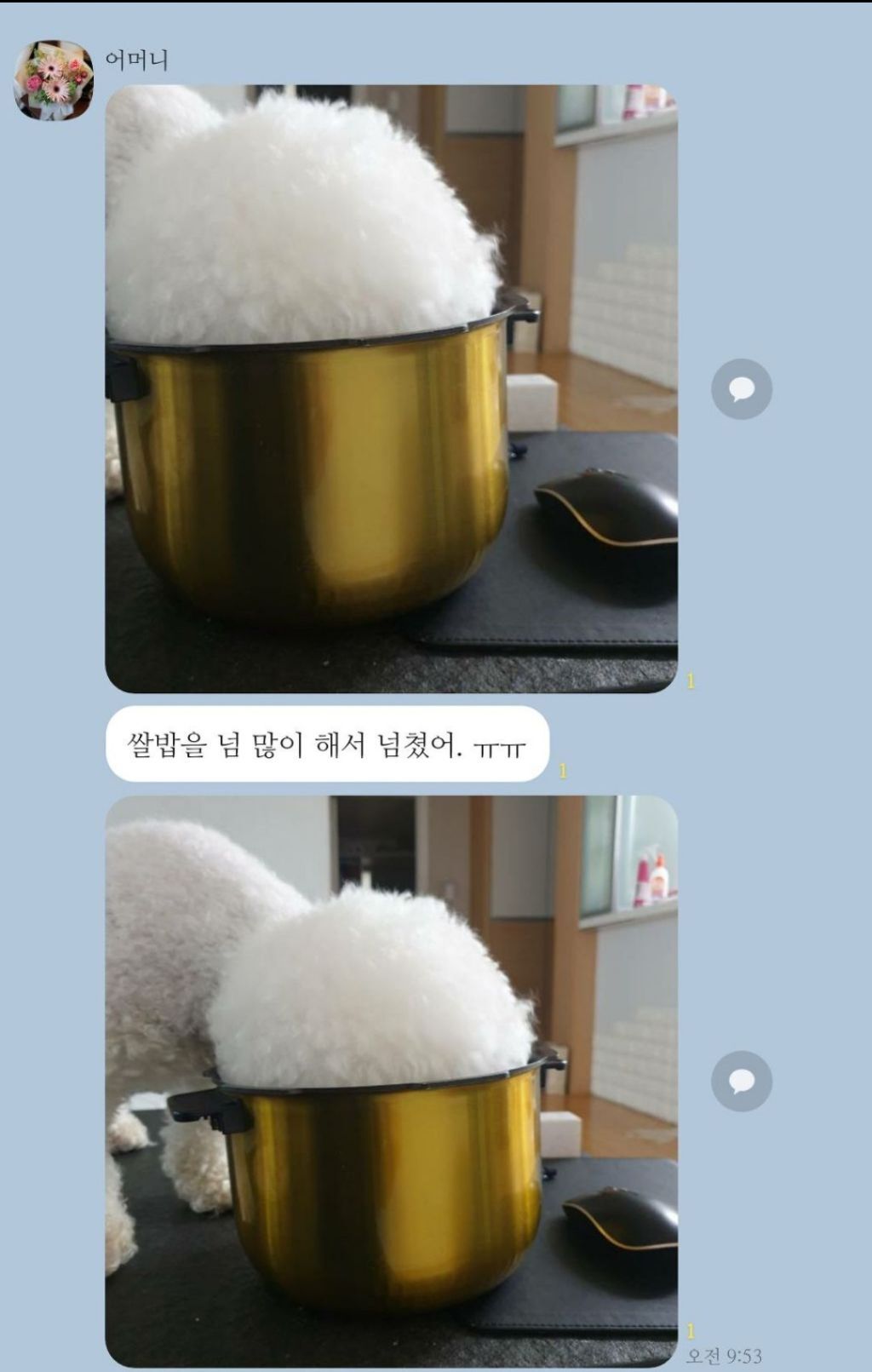 댓글-5000개-달렸던-"쌀밥을-넘-많이-해서-넘쳤어.-ㅠㅠ"-0-이미지