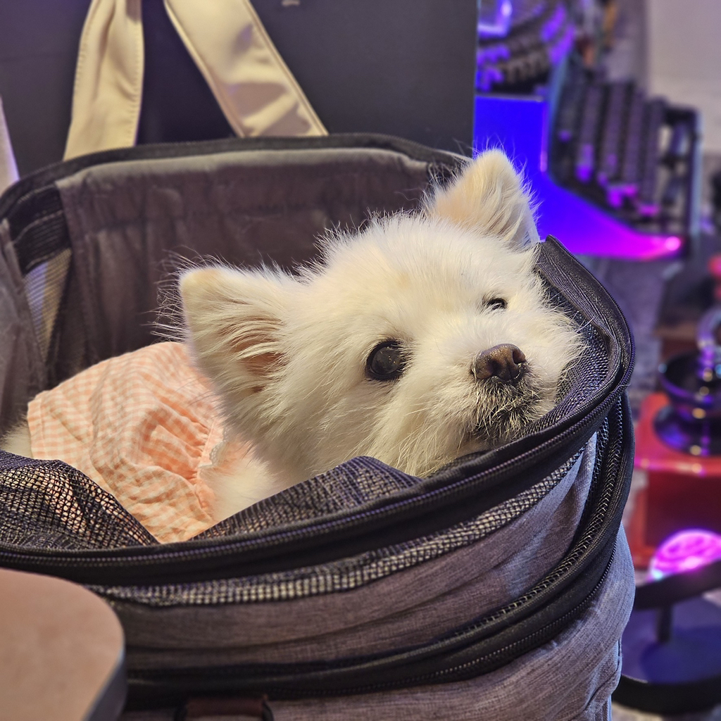 주댕이-털-면도했는데-이거-어캄?!!!-4-이미지