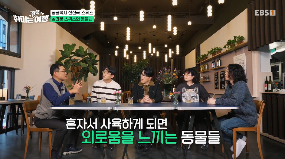 132년전부터-동물-무마취-도살법-등록했다는-스위스의-동물법.jpg-7-이미지