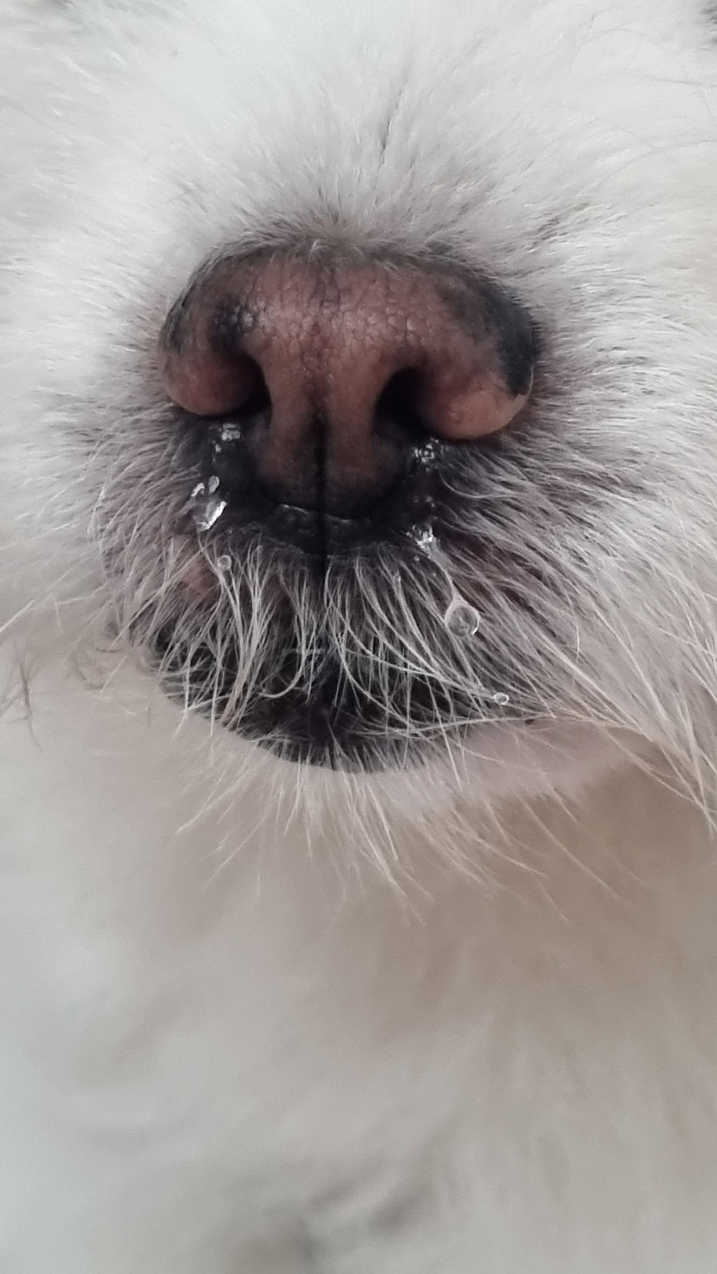 주댕이-털-면도했는데-이거-어캄?!!!-24-이미지