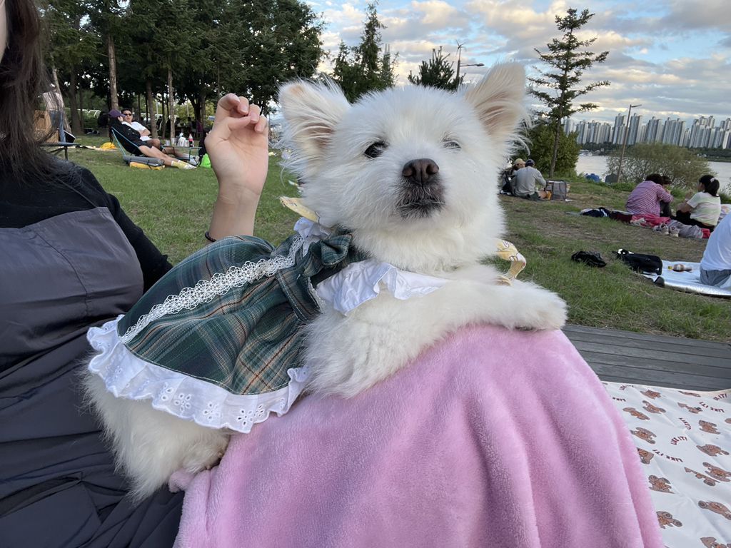 주댕이-털-면도했는데-이거-어캄?!!!-21-이미지