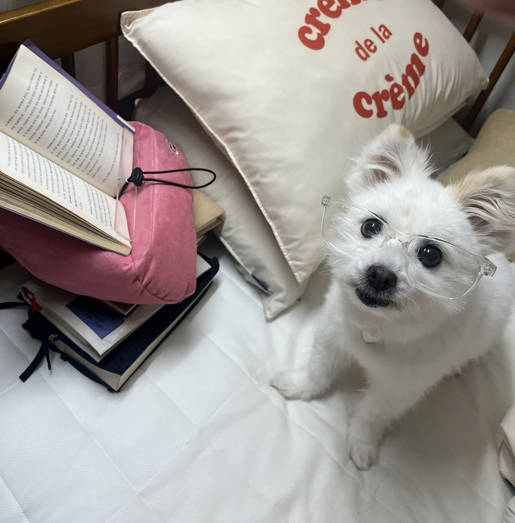 주댕이-털-면도했는데-이거-어캄?!!!-28-이미지