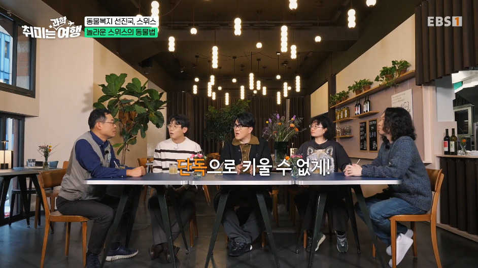 132년전부터-동물-무마취-도살법-등록했다는-스위스의-동물법.jpg-9-이미지