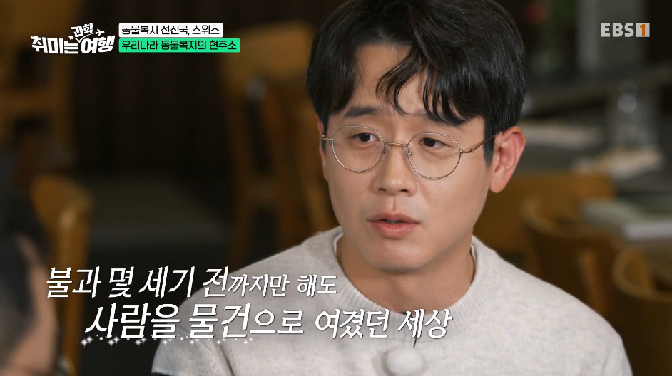 동물-키울거면-무조건-2마리-이상-키워야-한다는-나라.jpg-15-이미지