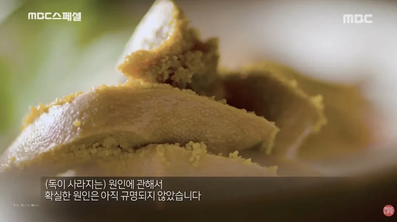 일본-단-세-개-마을에서만-제조가-허락된-복어-알-'누카즈케'-13-이미지