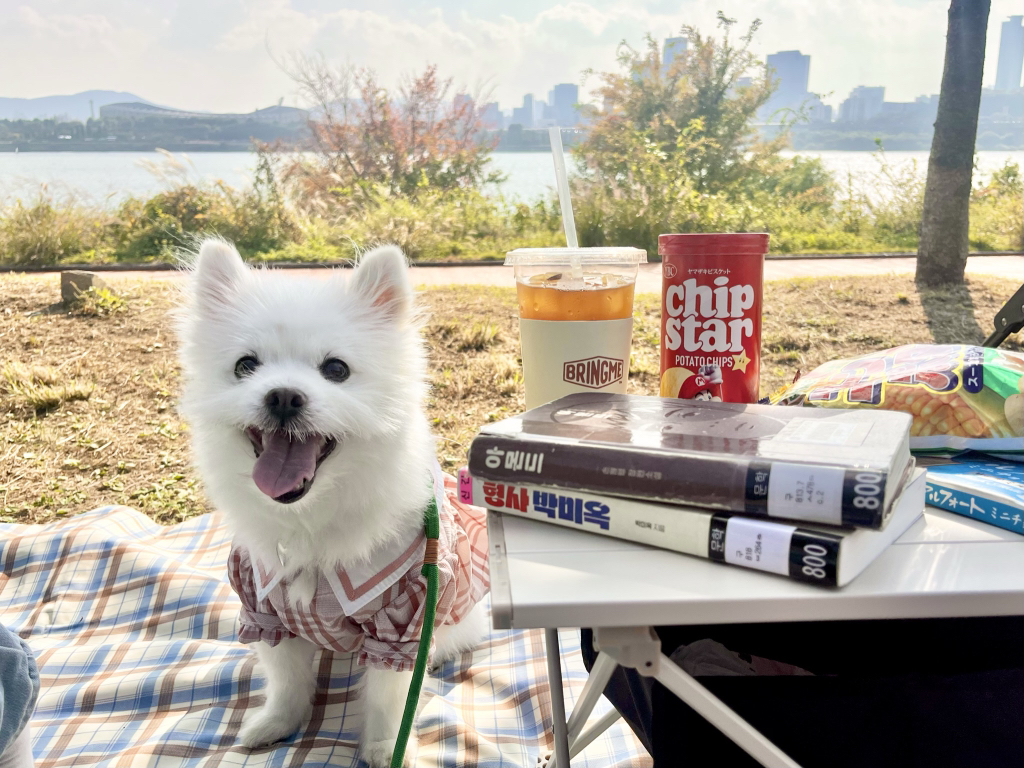 주댕이-털-면도했는데-이거-어캄?!!!-9-이미지