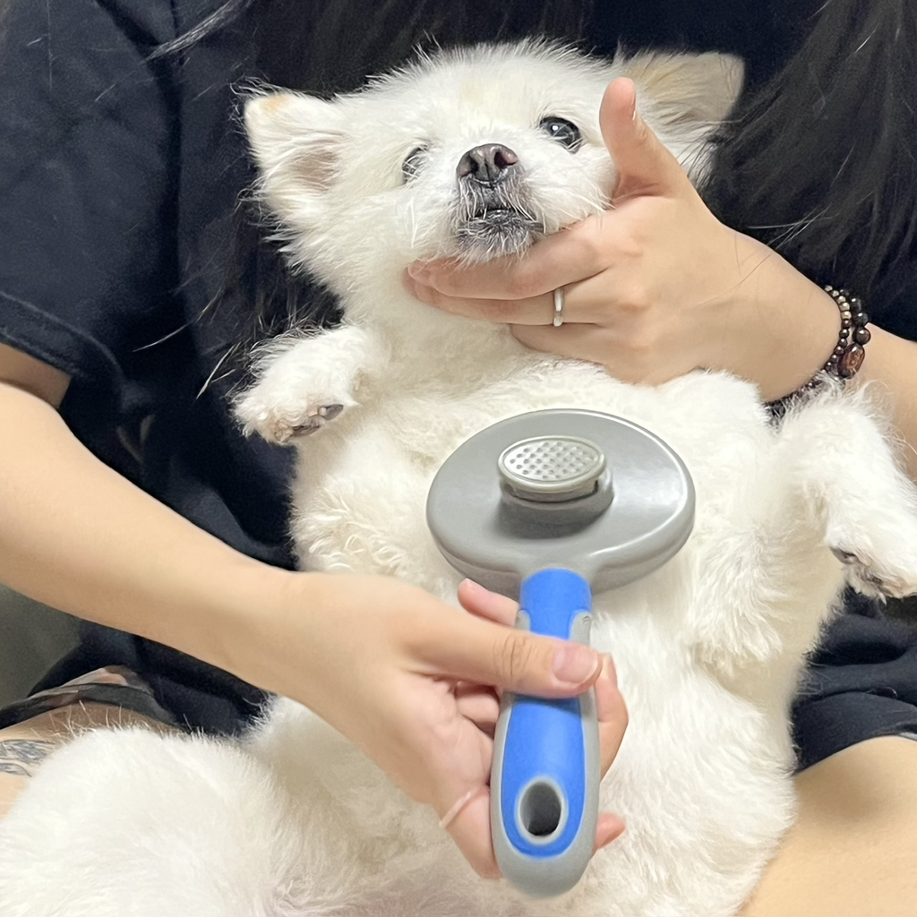 주댕이-털-면도했는데-이거-어캄?!!!-15-이미지