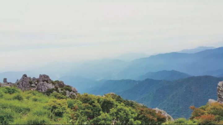 산에서-투신자살하려고했던-사람-2-이미지