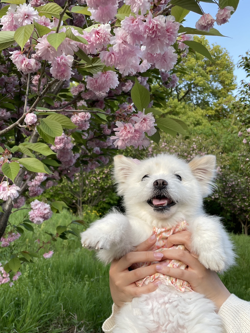 주댕이-털-면도했는데-이거-어캄?!!!-2-이미지