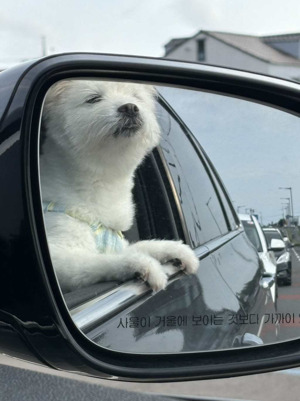 주댕이-털-면도했는데-이거-어캄?!!!-34-이미지