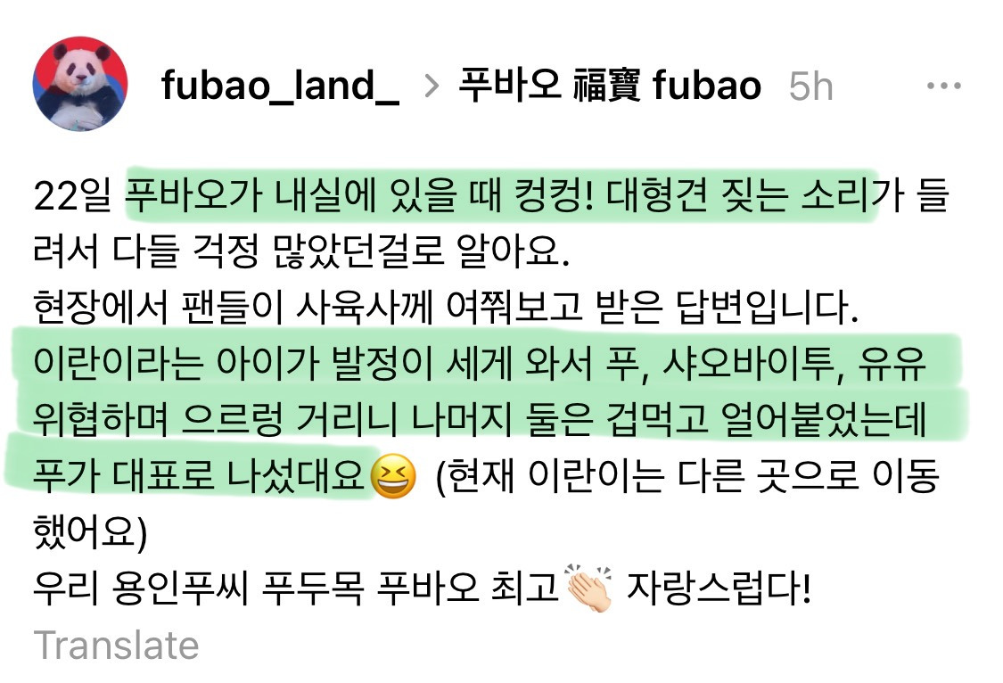 중국-가서도-참지않고-자존감-높게-살고있는-푸바오-0-이미지