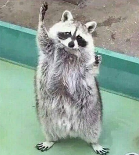 [한식대첩4]-세상에-둘도-없는-요리를-만들어드리겠습니다-다시는-맛볼수-없는-4-이미지