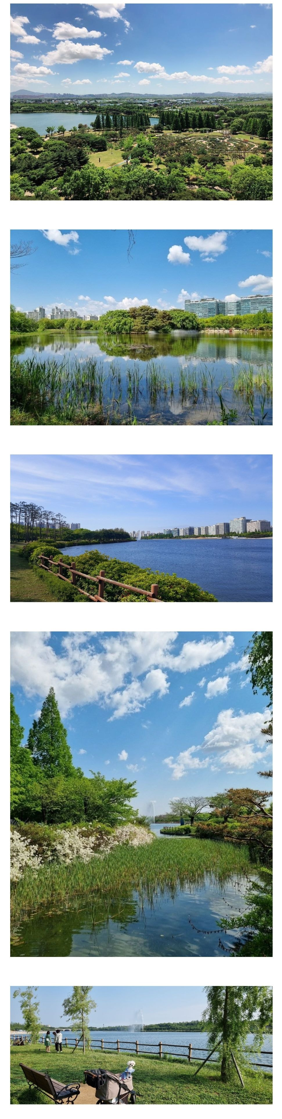 대한민국-신도시-후배들에게-호수공원-붐을-일으킨-원조.jpg-1-이미지