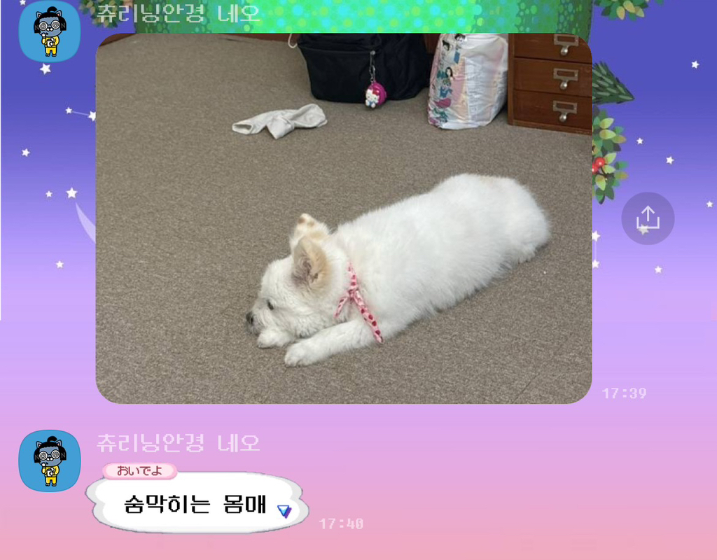 주댕이-털-면도했는데-이거-어캄?!!!-25-이미지