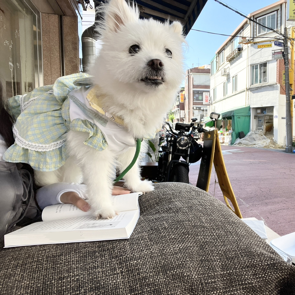 주댕이-털-면도했는데-이거-어캄?!!!-18-이미지