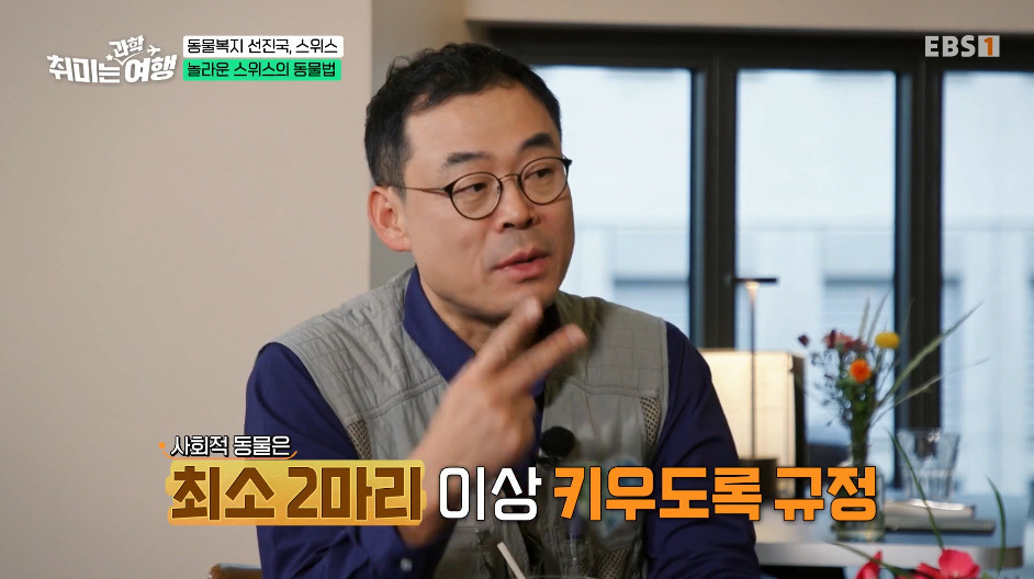 동물-키울거면-무조건-2마리-이상-키워야-한다는-나라.jpg-8-이미지