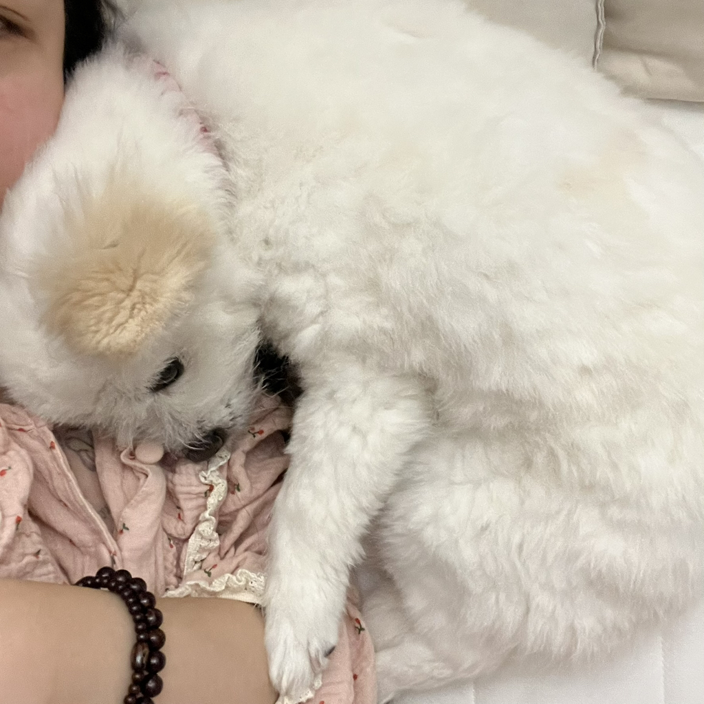 주댕이-털-면도했는데-이거-어캄?!!!-37-이미지