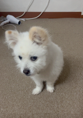 주댕이-털-면도했는데-이거-어캄?!!!-46-이미지