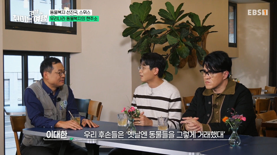 동물-키울거면-무조건-2마리-이상-키워야-한다는-나라.jpg-17-이미지