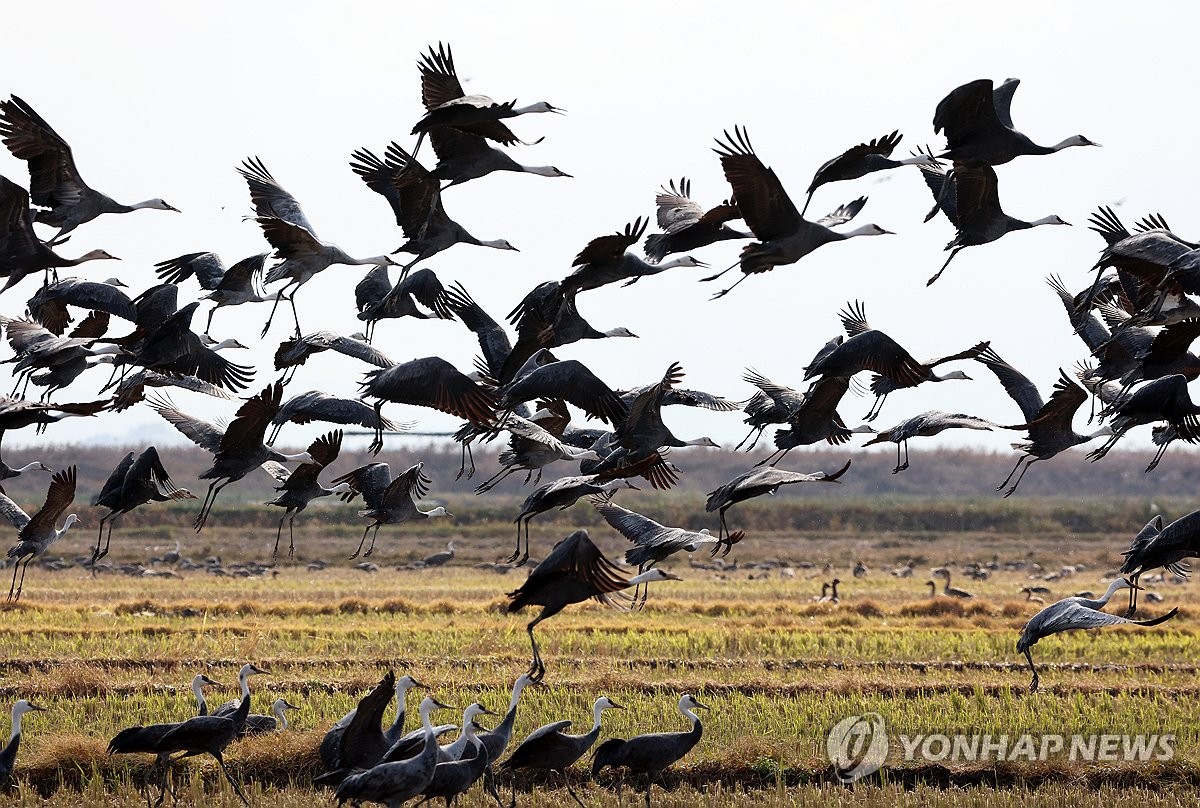 좋은-일을-해서-축복-받은-듯한-도시.jpg-10-이미지