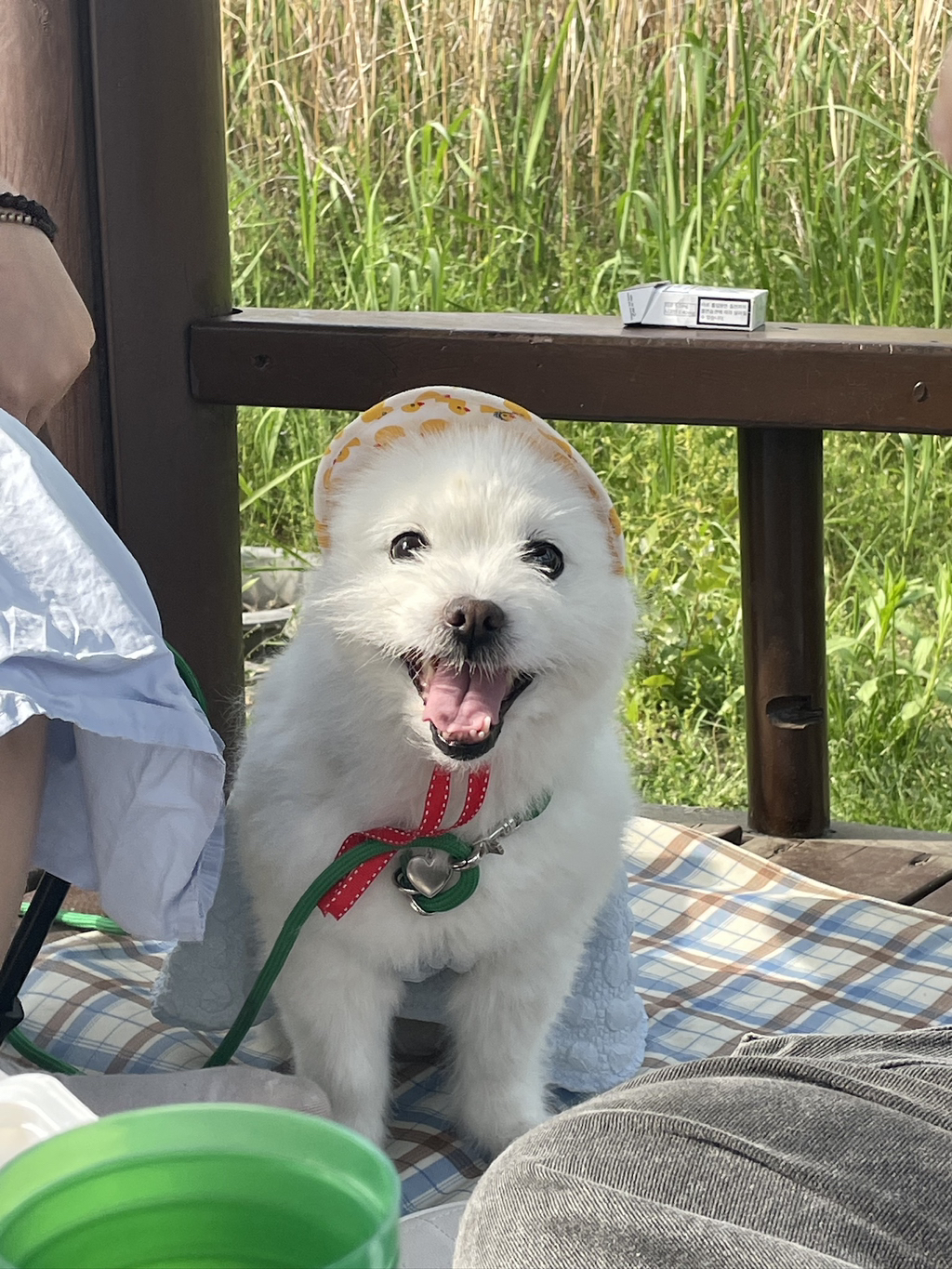 주댕이-털-면도했는데-이거-어캄?!!!-41-이미지