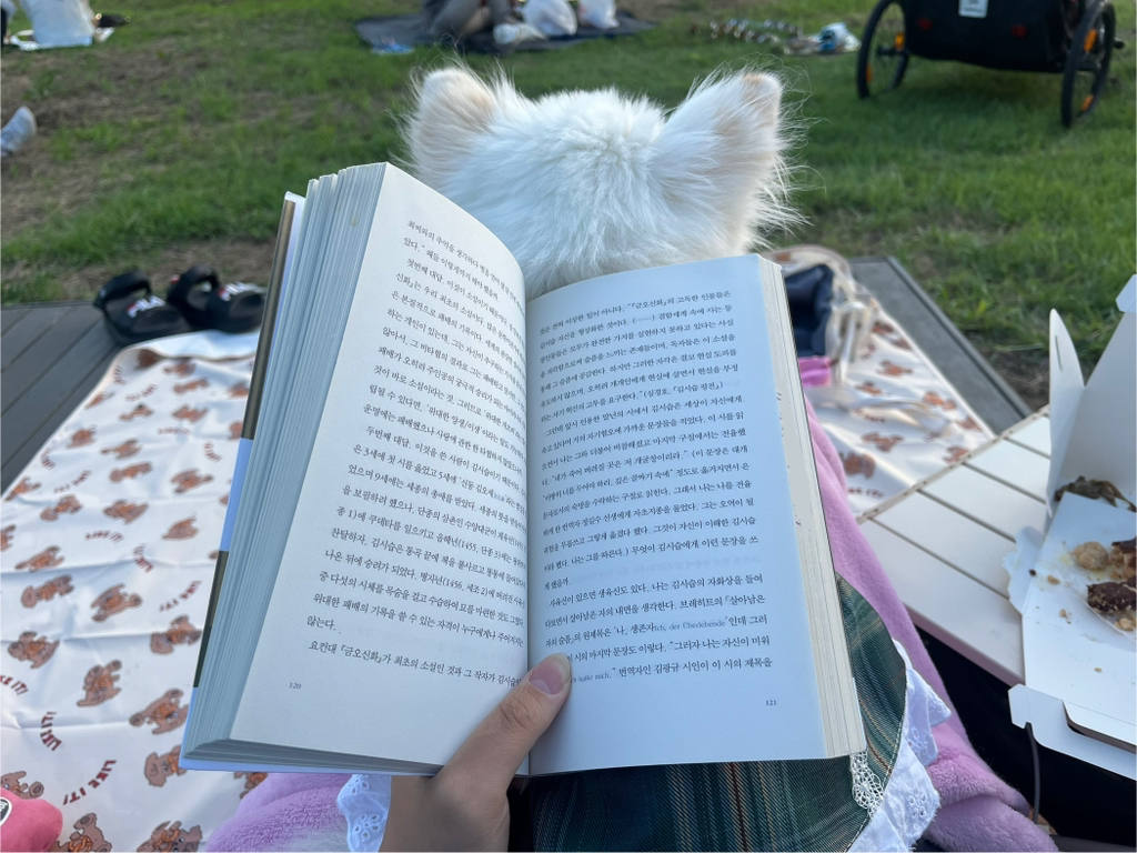 주댕이-털-면도했는데-이거-어캄?!!!-20-이미지