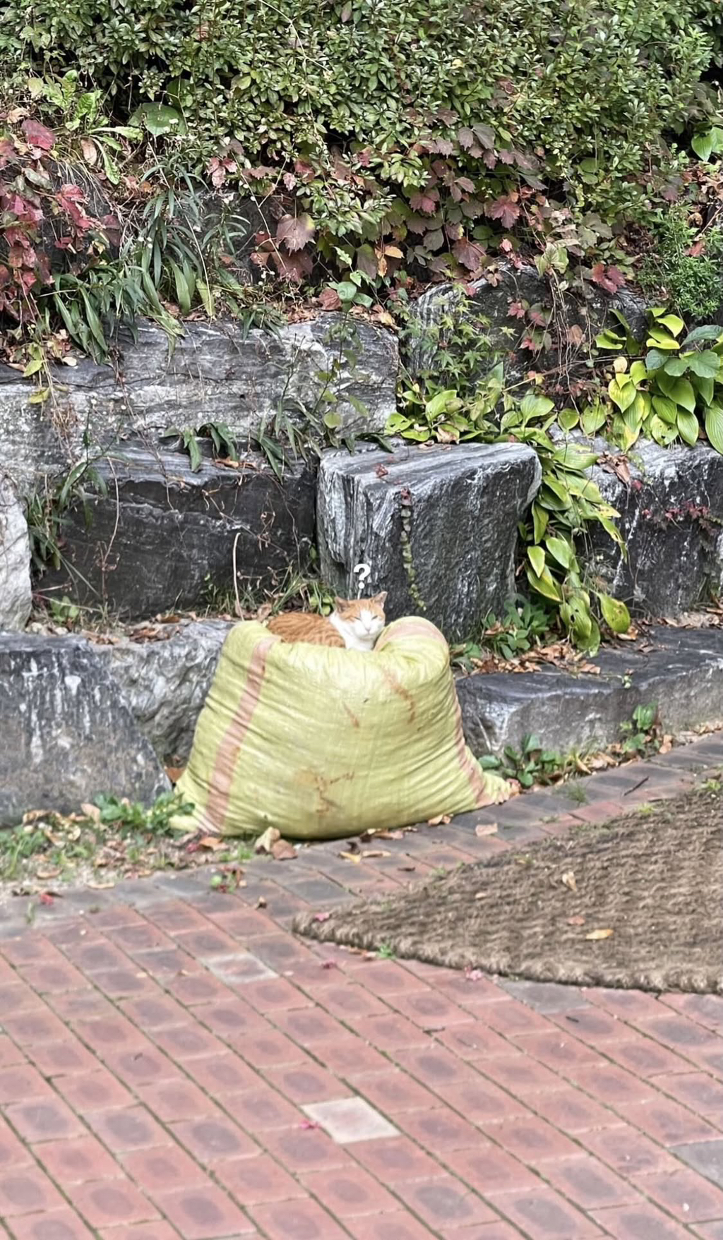 친환경-빈백.jpg-0-이미지