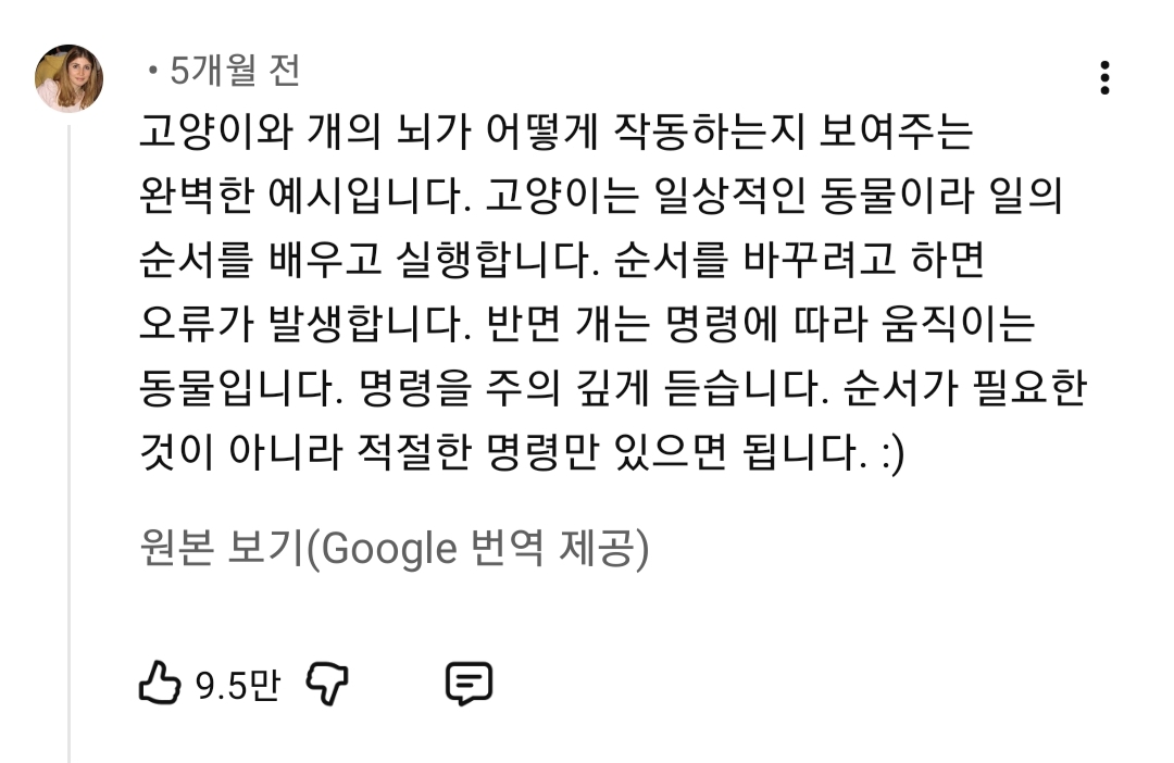 고양이와-개의-뇌가-어떻게-작동하는지-보여주는-완벽한-예시-2-이미지