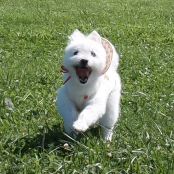 주댕이-털-면도했는데-이거-어캄?!!!-30-이미지