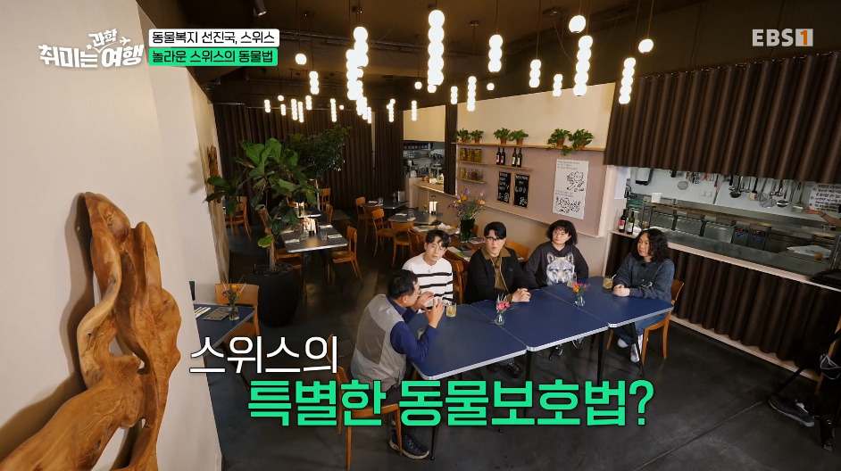 132년전부터-동물-무마취-도살법-등록했다는-스위스의-동물법.jpg-5-이미지