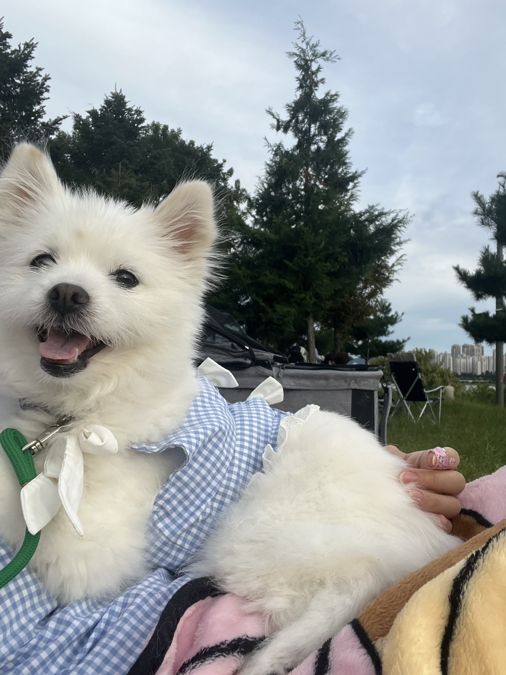 주댕이-털-면도했는데-이거-어캄?!!!-13-이미지