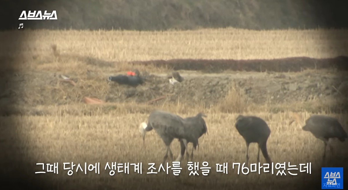 좋은-일을-해서-축복-받은-듯한-도시.jpg-1-이미지