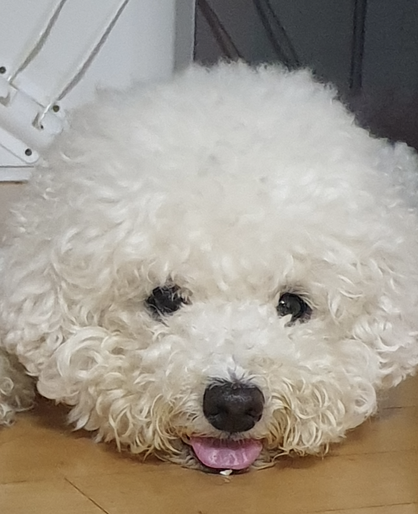 댓글-5000개-달렸던-"쌀밥을-넘-많이-해서-넘쳤어.-ㅠㅠ"-6-이미지