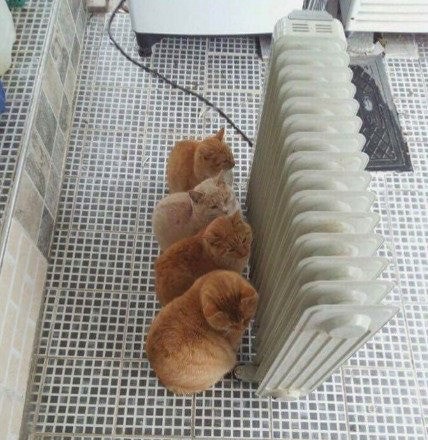 내년-1월-1일부터-찾아오는-한파-2-이미지